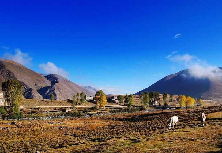 索尼娅的乡村生活官网:体验田园牧歌式游戏人生 索尼娅的乡村生活官网:体验田园牧歌式游戏人生