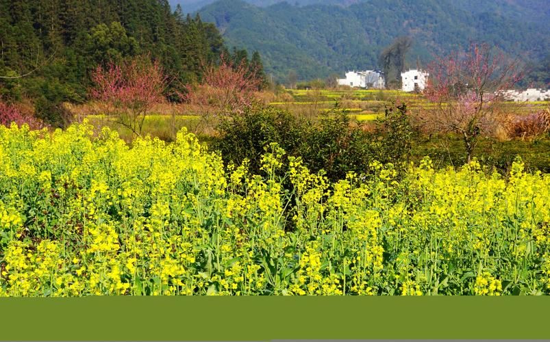 索尼娅的乡村生活官网:体验田园牧歌式游戏人生 索尼娅的乡村生活官网:体验田园牧歌式游戏人生