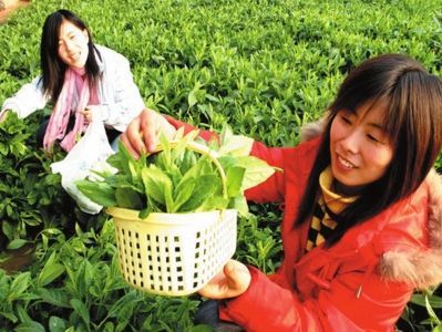 索尼娅的乡村生活最新版本下载：体验田园牧歌式乡村生活！