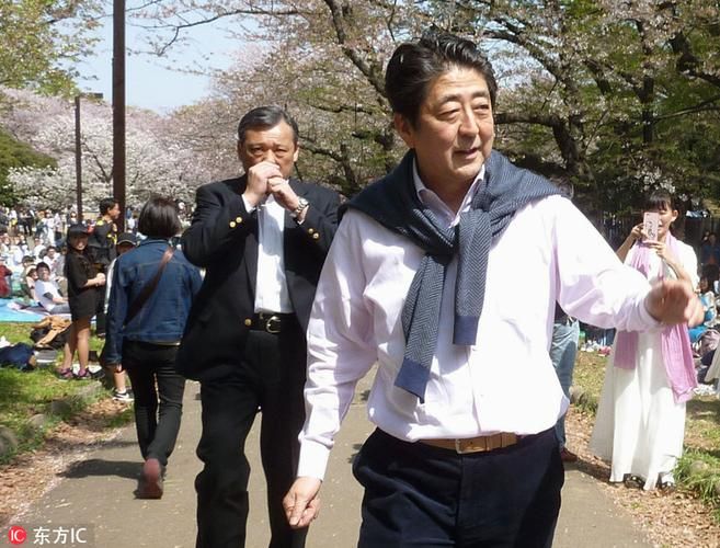 红樱花馆最新剧情解析：精彩内容深度解读！