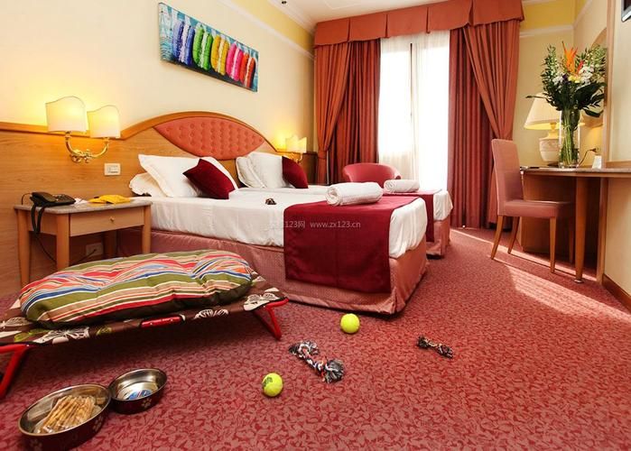 红色房间官方网站入口：高清资源免费观看