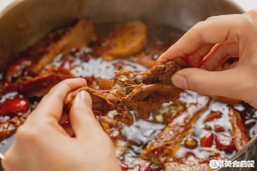 肉烂在锅里下载地址大全：手机电脑都能轻松下载
