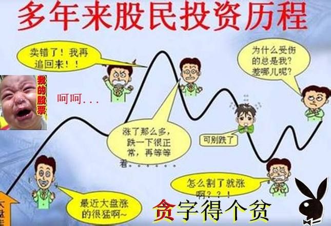 股市之狼官方网站：体验刺激的模拟炒股游戏