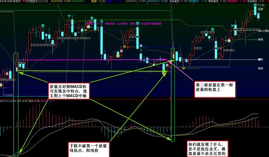 股市之狼汉化版更新内容详解：玩法升级，刺激加倍！