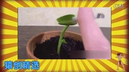 自大辣妹家庭教学：完整版大全，教你轻松应对熊孩子