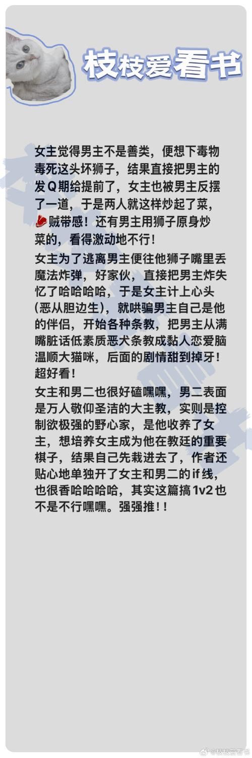 臭作版本大全：各种版本资源一览，总有一款适合你