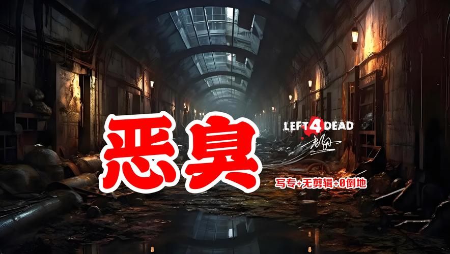 臭作版本大全：各种版本资源一览，总有一款适合你