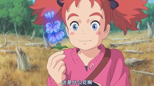 花之魔女官方网站：最新版下载及游戏攻略大全
