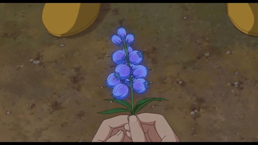 花之魔女官网：最新版本，畅玩魔幻世界
