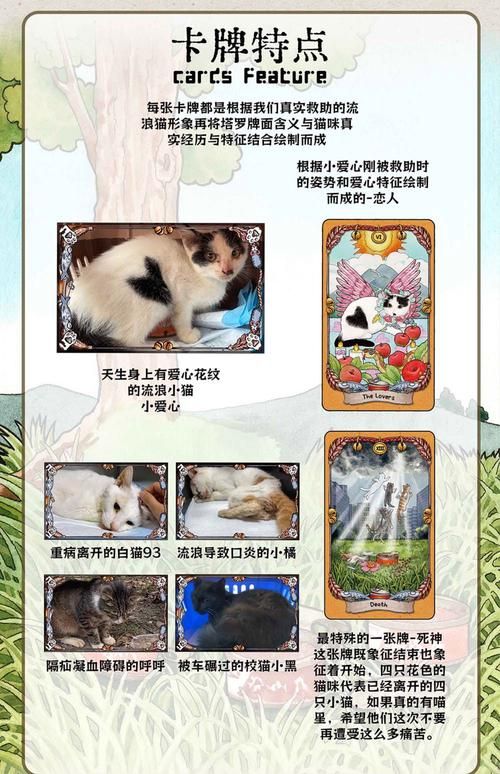 苦主救助中心1-4合集最新玩法，小白也能轻松上手