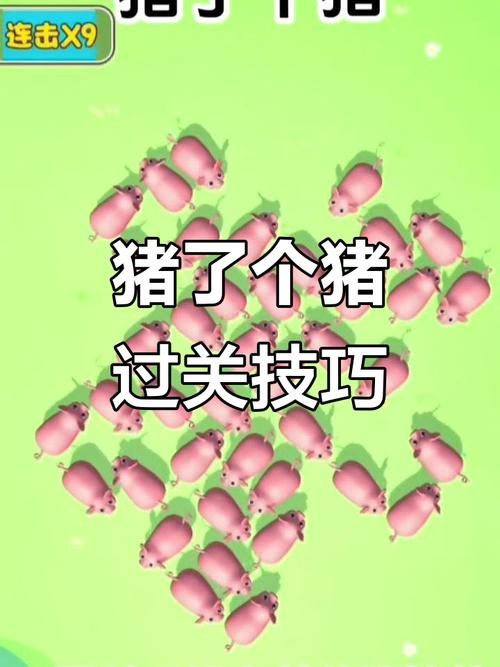 菊玩少女游戏攻略秘籍：轻松通关不迷路