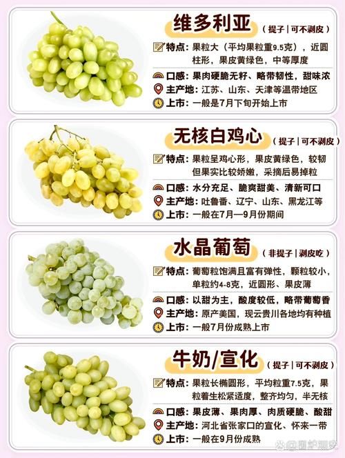 葡萄成熟时更新地址汇总，各个平台资源一览