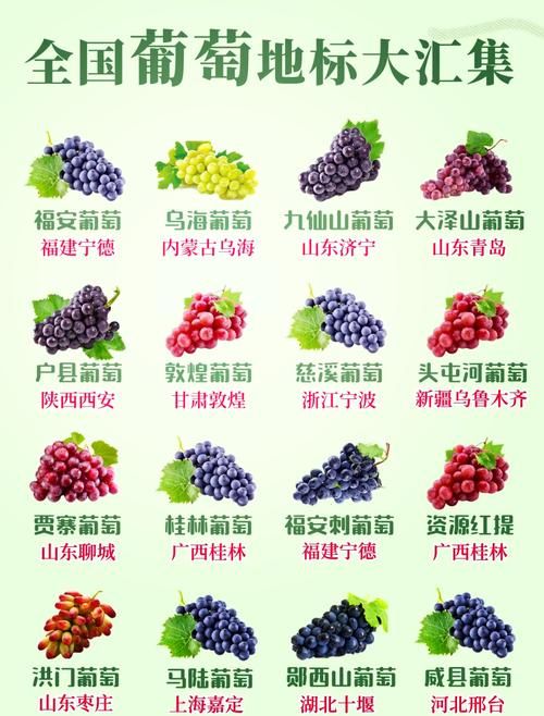 葡萄成熟时更新地址汇总，各个平台资源一览
