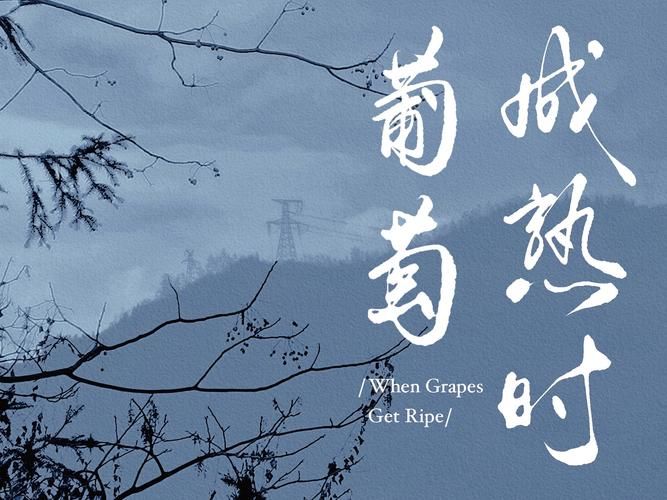 葡萄成熟时最新版本：58集完整版在线观看