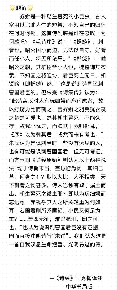 蜉蝣官方网站：探索精彩内容，尽享阅读乐趣