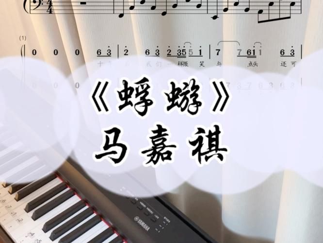 蜉蝣小说、歌曲下载地址免费分享，速来领取