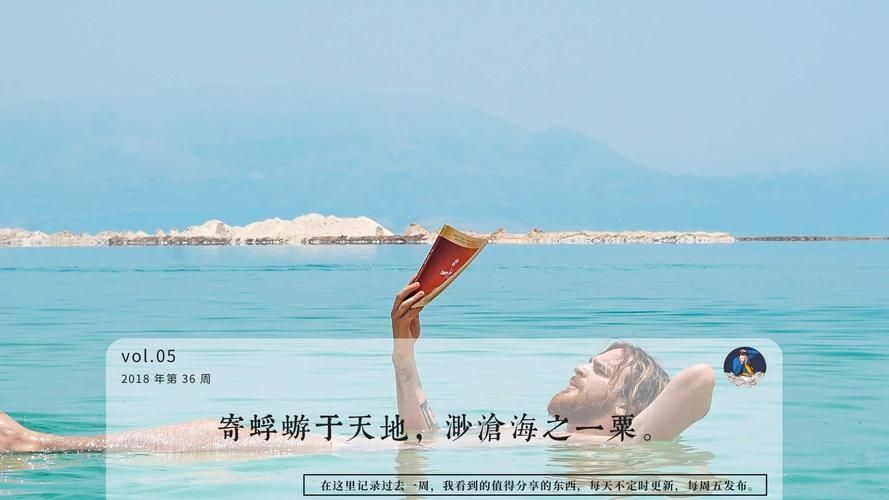 蜉蝣最新版本体验分享：玩家真实感受