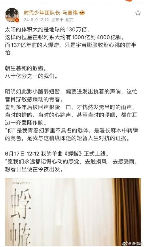 蜉蝣最新章节更新地址，不容错过！