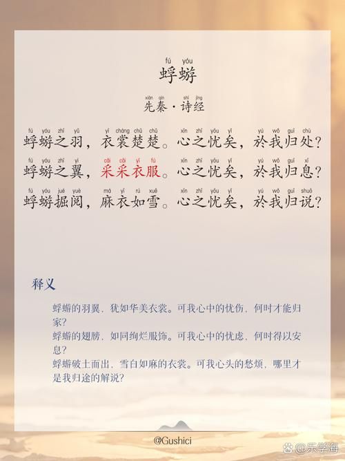 蜉蝣歌曲下载方法大全，轻松获取高品质音乐