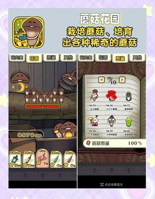 解压神器：害羞女孩的杨过游戏休闲时光