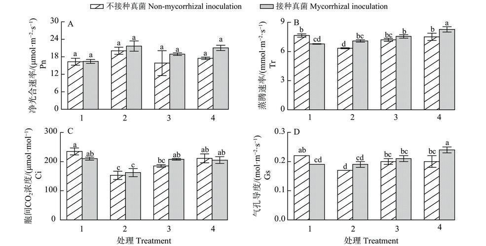 详解胁迫COERCION：全面解读不同类型的胁迫行为