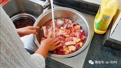 超火游戏肉烂在锅里介绍：你真的了解它吗？