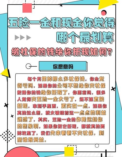 超社保服务人员小缘汉化版：有哪些最新更新？值得下载吗？