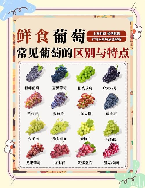 轻松玩转葡萄成熟时：游戏攻略及技巧分享