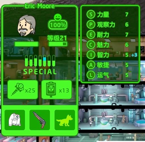 辐射避难所H版最新攻略：避难所建设技巧分享
