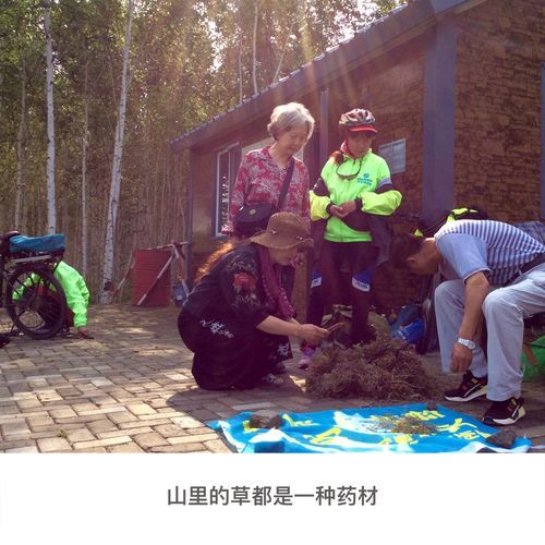 边境之村安卓版：村庄经营策略详解及玩法技巧