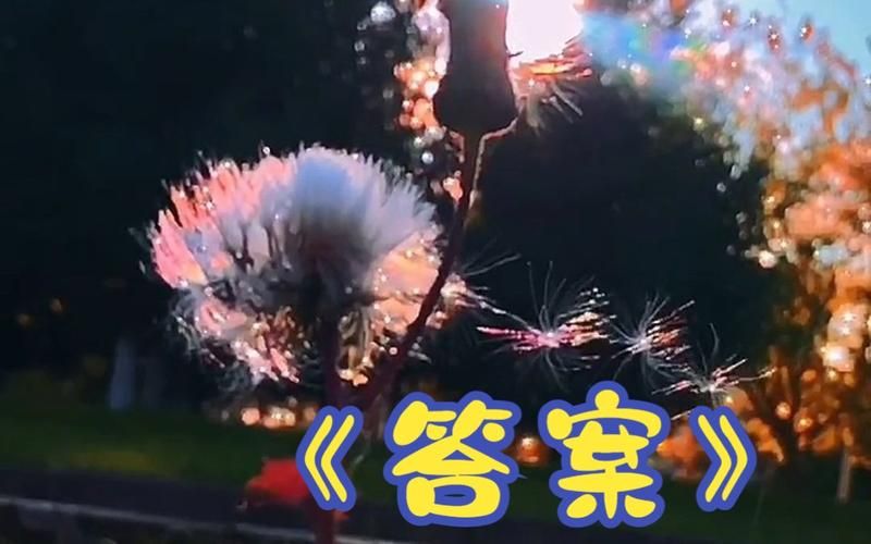 还在为下载禁忌幻想而烦恼？这里有你想要的答案