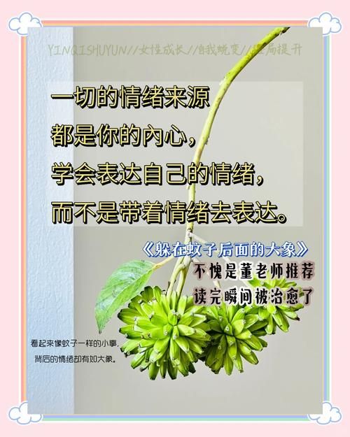 还在为下载禁忌幻想而烦恼？这里有你想要的答案