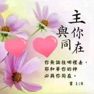 还在找神的不在场？这里有你需要的全部版本！