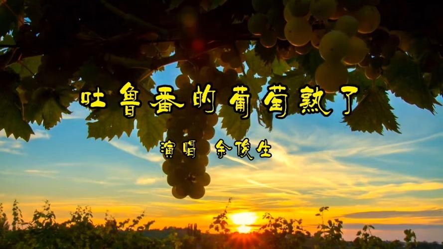 还在找葡萄成熟时下载？试试这些音乐平台