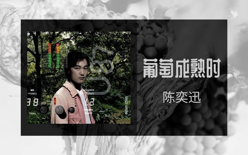 还在找葡萄成熟时下载？试试这些音乐平台