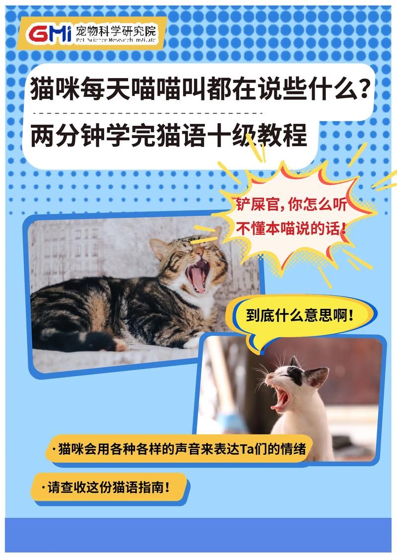 还在玩旧版当你的猫咪？最新版本更新了什么？