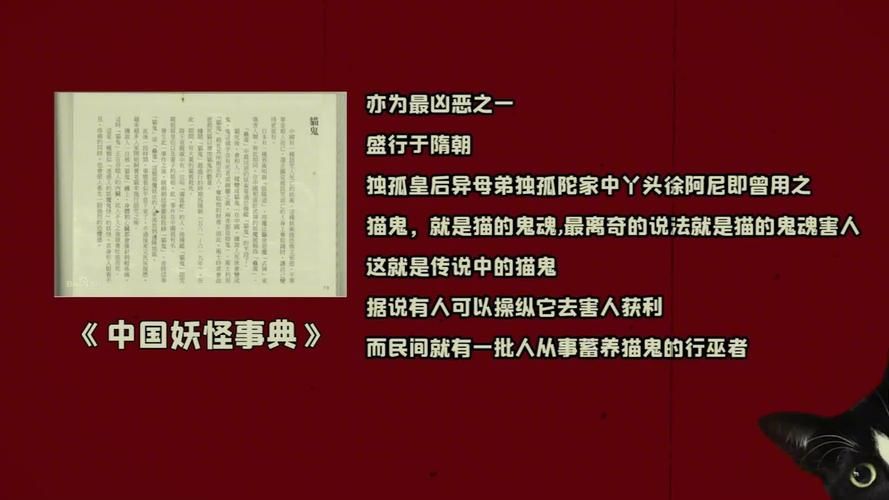 还在玩旧版捡到千年猫？最新版本更新内容抢先看！