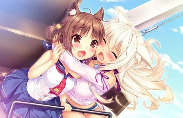 还在玩旧版捡到千年猫？最新版本更新内容抢先看！
