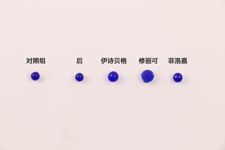 还在纠结VAM整合包版本？3款热门版本深度评测