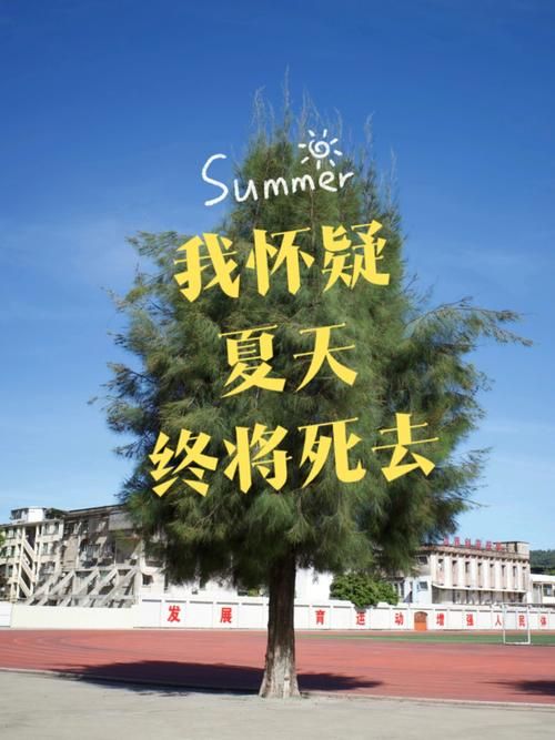 逝去的夏天MP3下载，多个平台资源推荐，任你选择！