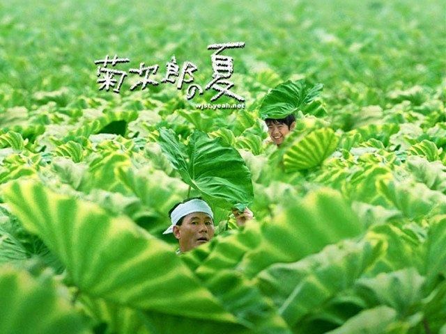 逝去的夏天最新版本下载，高品质音质在线试听