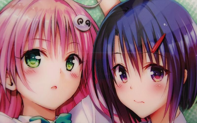 速看！TOlove最新版本号及功能更新介绍