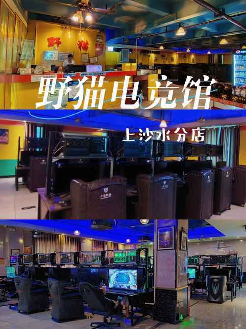 野猫游戏官网分享：分享游戏资源，一起体验精彩游戏世界