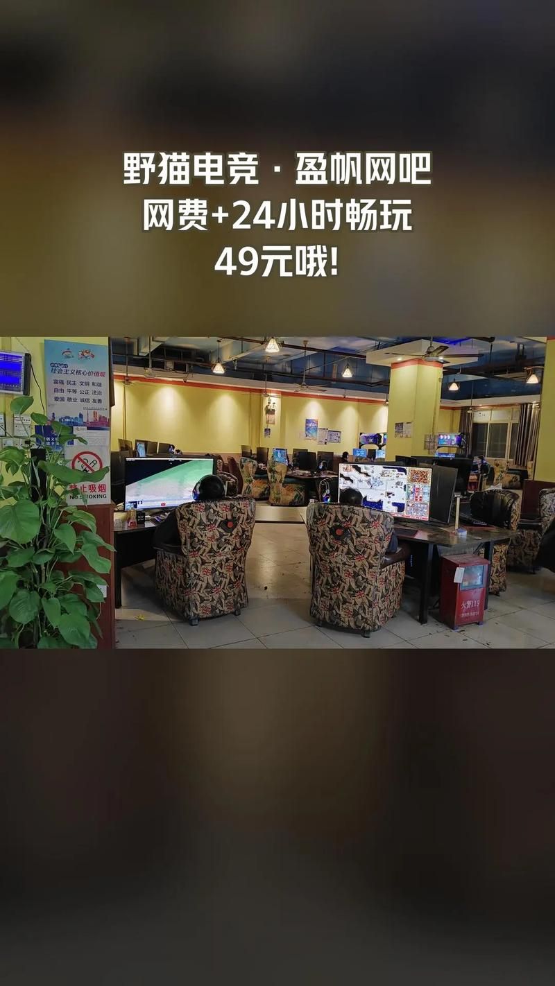 野猫游戏更新地址：快速下载畅玩最新版