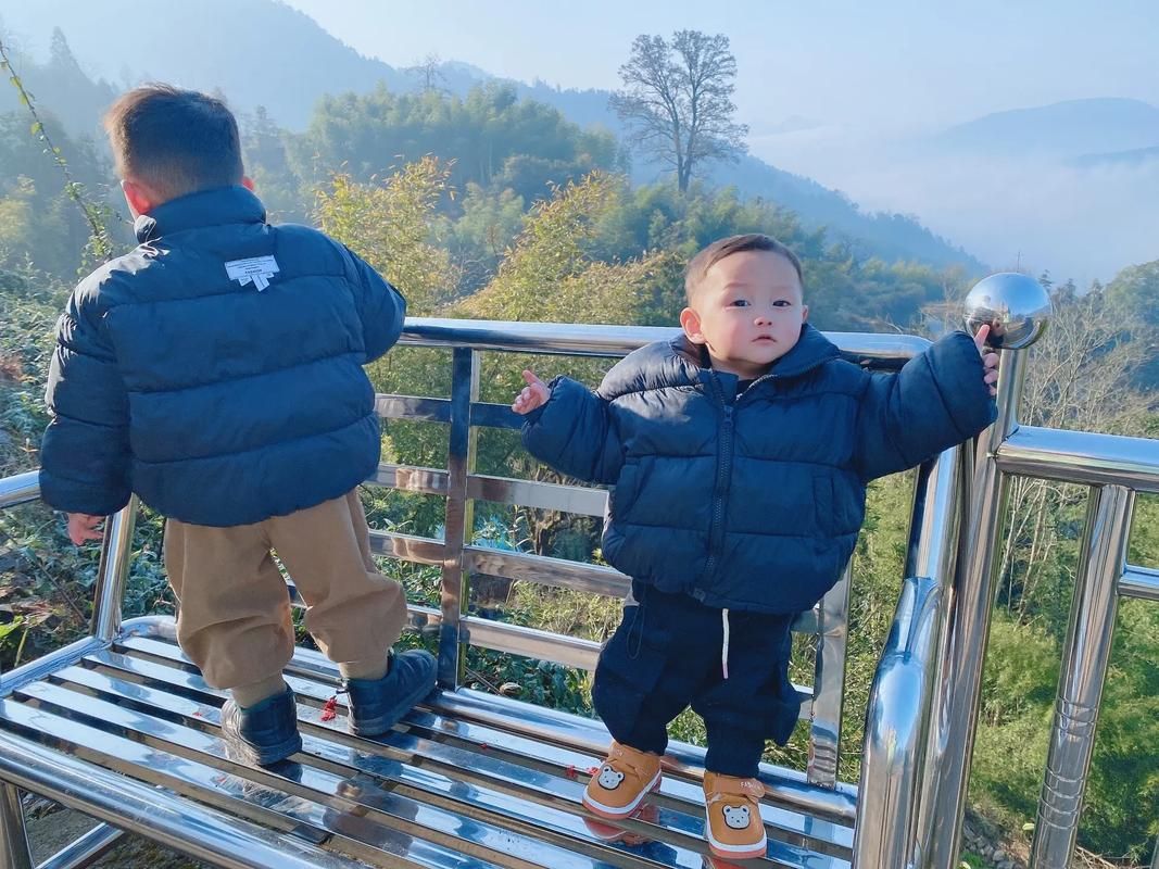 阳光下的真实官方网站：快速下载，安全无毒
