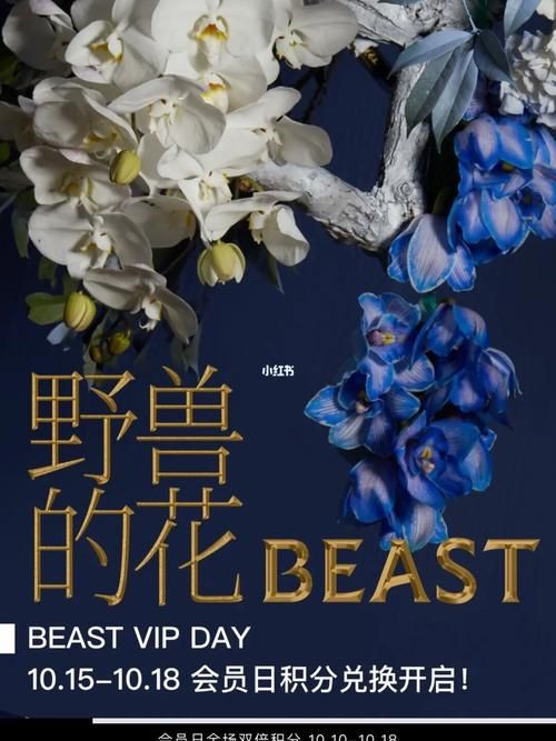 阳光下的野兽下载地址在哪？附详细下载教程！