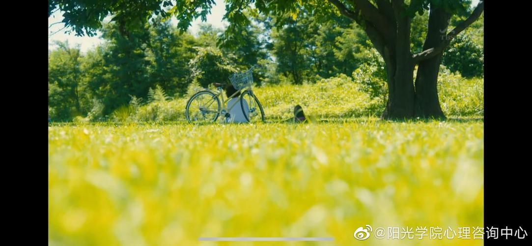 阳光下的野兽汉化版下载地址：超大容量，精彩内容