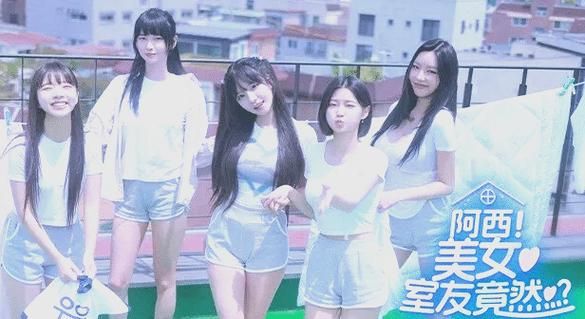 阿西美女室友游戏官网：下载阿西美女室友游戏，开启甜蜜恋爱