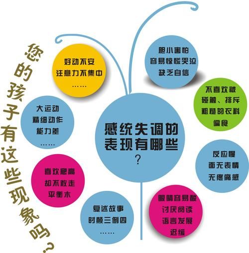 青色大脑版本大全：安卓、PC版下载及整合包推荐