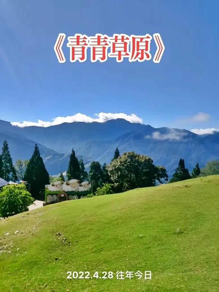 青青草原官方网站：你的私人高清影视播放器